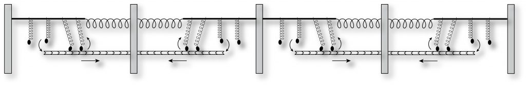 half-sarcomere chain