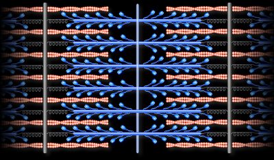 Sarcomere